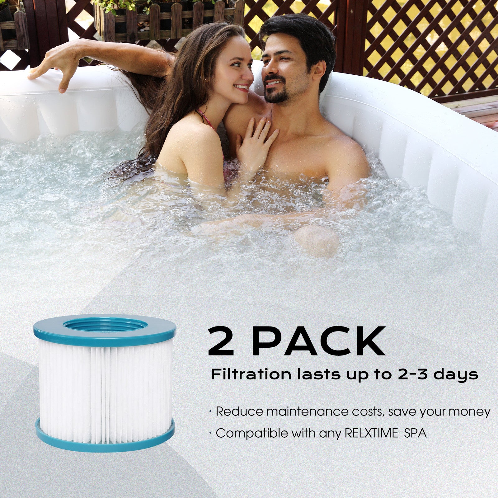 2-Pack Replacement Spa Filters – White