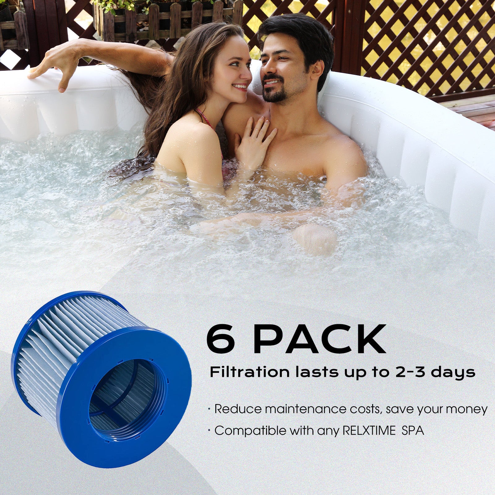 6-Pack Replacement Spa Filterss – Blue